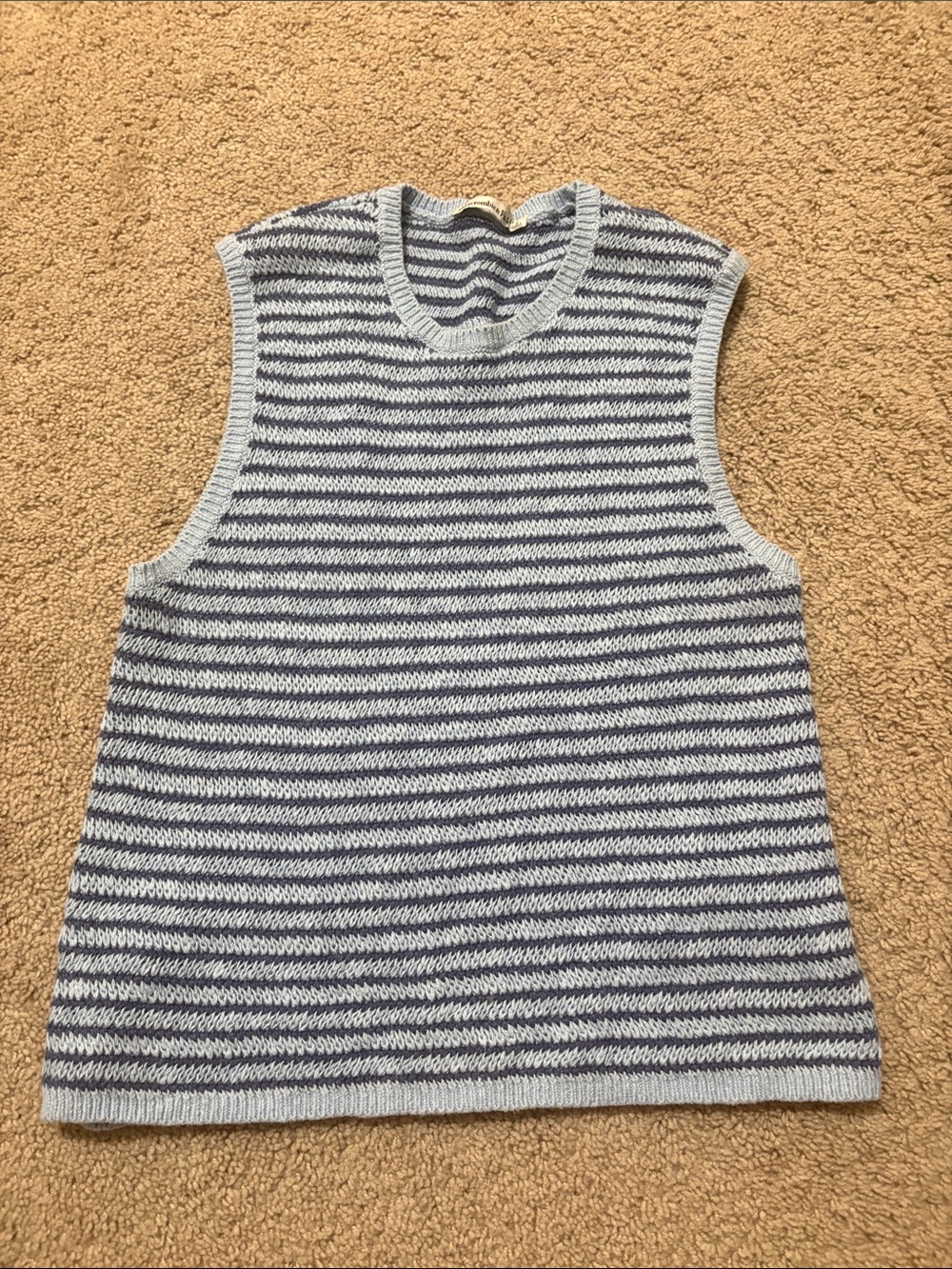 Striped Knit Sleeveless Sweater Vest in Light Blue and Navy